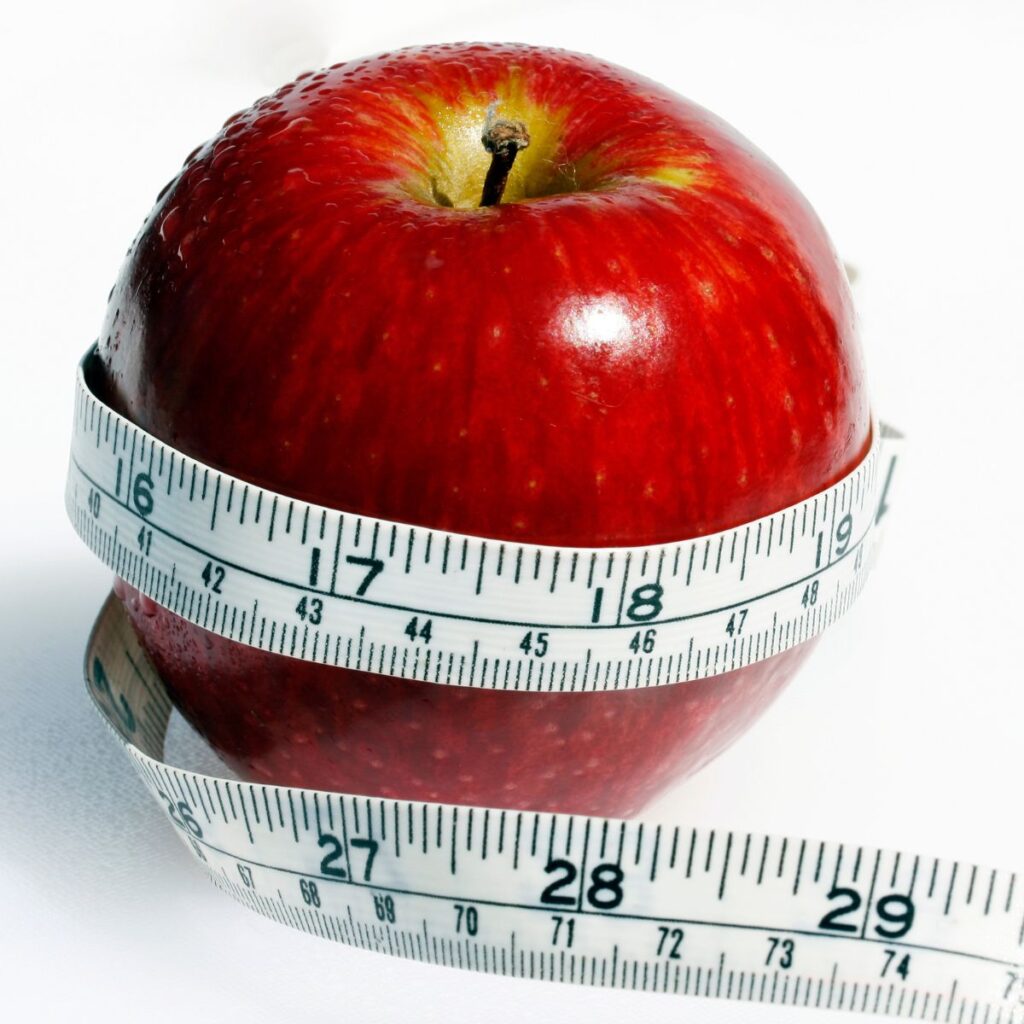 How To Do Weight Watchers For Free | LifExperiment Blog